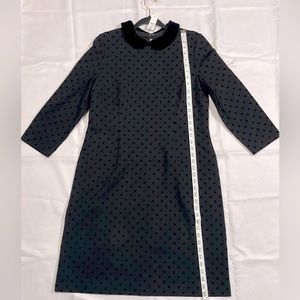 New with Tag - Talbots Collar Polka Dot Dress - Size 14